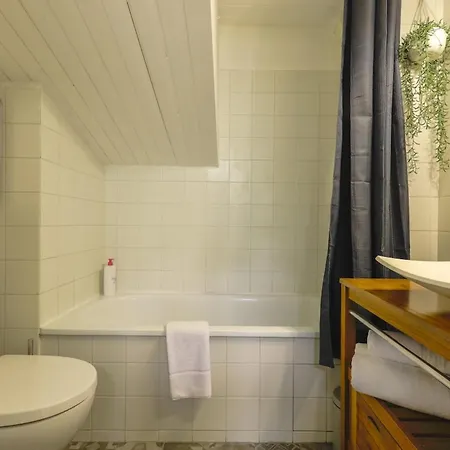 Apartament Taur - Hypercentre - Basilique St Sernin Tuluza