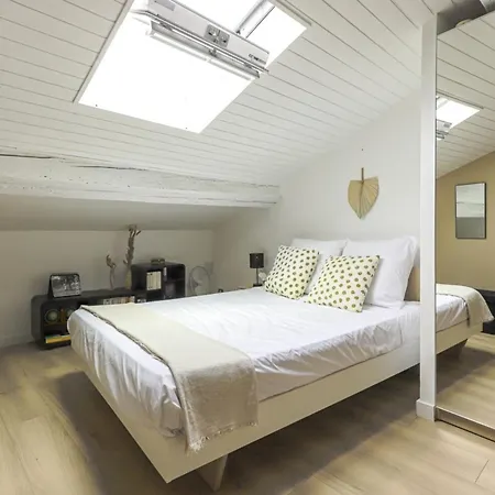 Taur - Hypercentre - Basilique St Sernin Appartement *