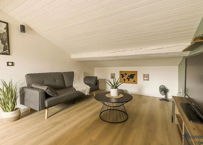 Appartement Taur - Hypercentre - Basilique St Sernin *