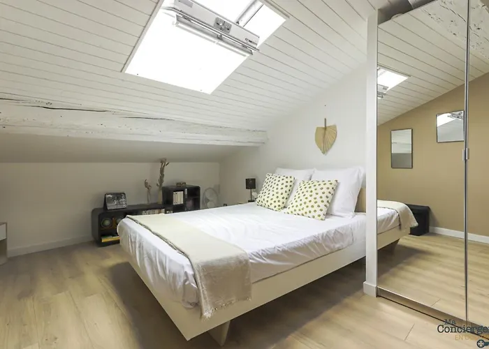 Taur - Hypercentre - Basilique St Sernin Appartement *