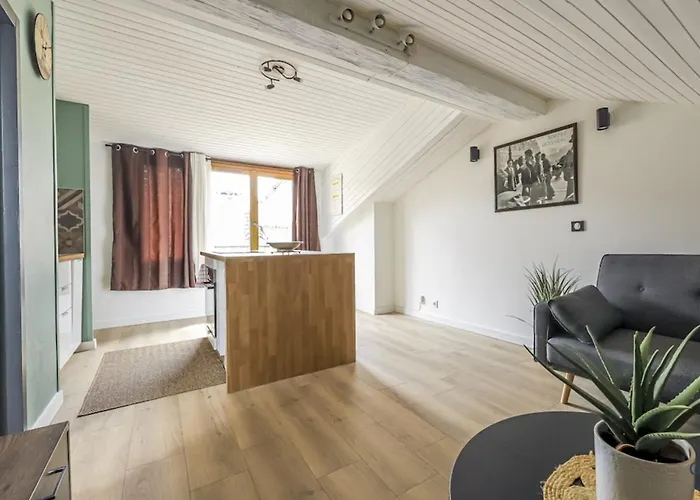 Taur - Hypercentre - Basilique St Sernin Appartement *