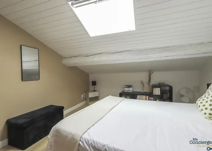 Taur - Hypercentre - Basilique St Sernin * Toulouse