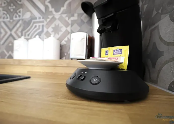 Appartement Taur - Hypercentre - Basilique St Sernin Toulouse